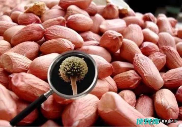 洋葱发芽还能吃吗（发芽后尽量不要食用的七种蔬菜）