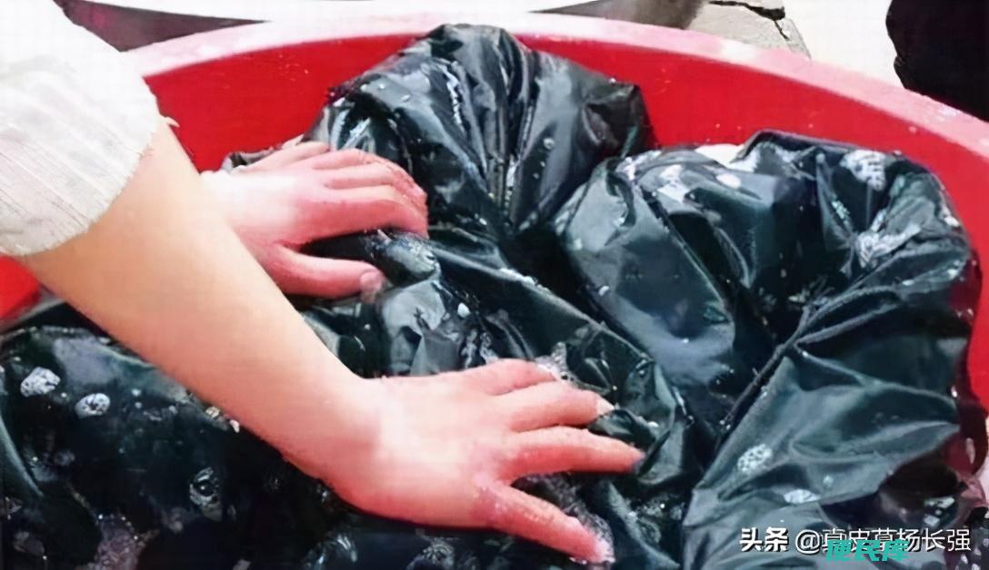 狐狸毛领怎么清洗（狐狸毛领可以直接放到热水里洗吗）