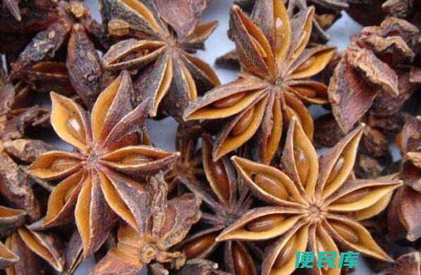 八角茴香的功效与作用（八角茴香的药效及作用有哪些）