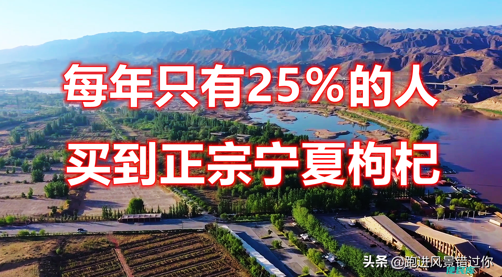 枸杞哪里产的最好（枸杞一定要吃宁夏的才有效果吗）