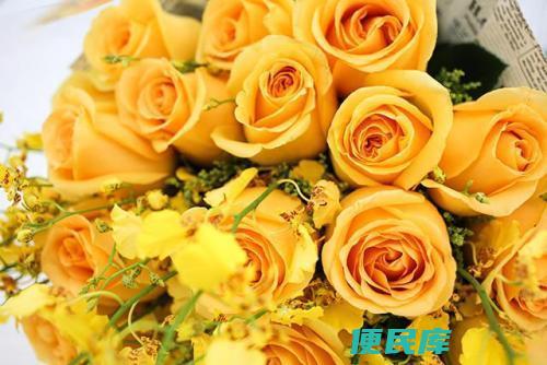 11朵黄玫瑰的花语（揭示11朵黄玫瑰的含义）