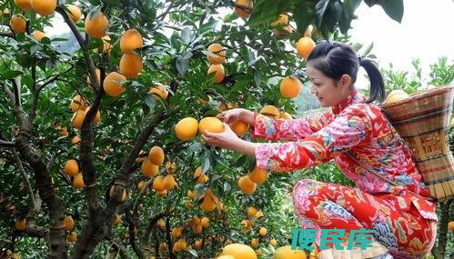 赣南脐橙上火还是降火（脐橙是凉性水果还是热性水果）