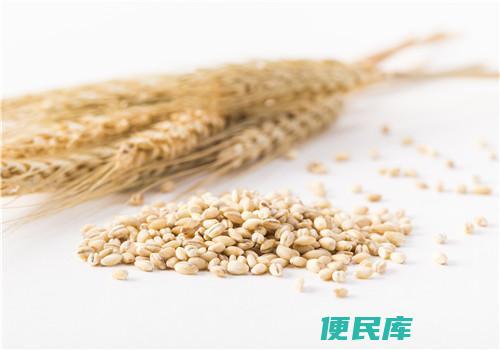 大麦与小麦的区别有哪些（面粉是用小麦还是大麦制成的）