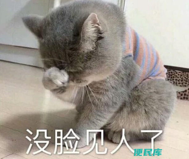 猫起什么名字好听（五种常见的给猫咪取名字的方法）