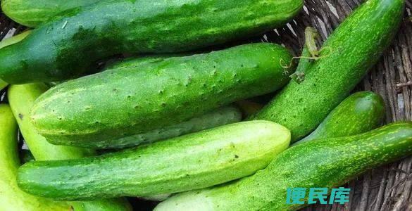 青瓜的功效与作用（青瓜的营养价值、食用方法、药用价值的介绍）