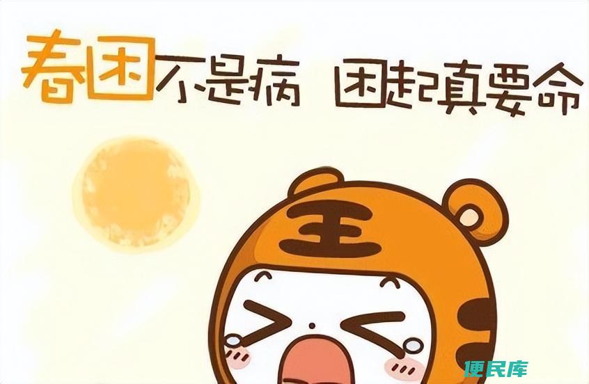 喝什么茶提神不犯困（4款可以缓解疲劳乏力的花茶）
