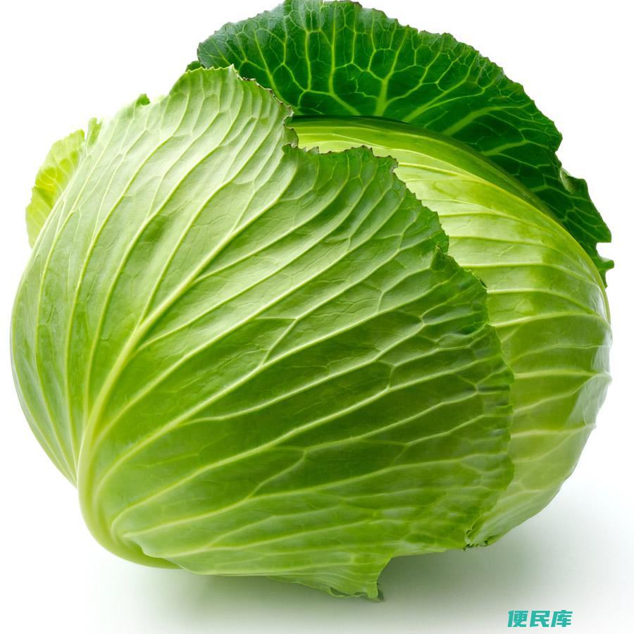 甘蓝和包菜的区别图片（越冬甘蓝的种植技术及管理方法）