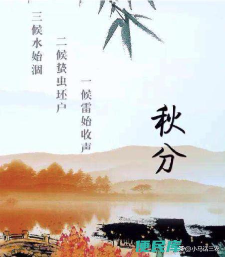 三秋是什么意思（农村俗语中的三秋分别指的都是什么）
