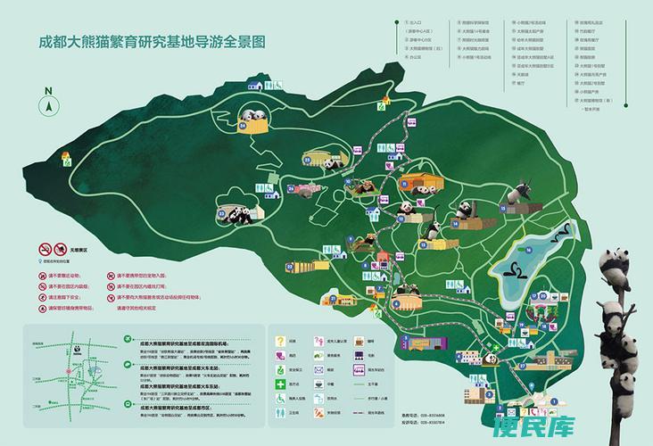 熊猫基地旅游攻略推荐（分享熊猫基地游览的最佳路线）