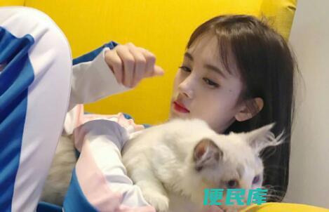 喜欢猫的女人是什么性格的人（怎么追喜欢猫的女生）