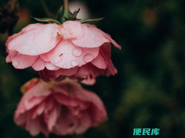 双子座和天秤座配吗（双子座和天秤座适合谈恋爱吗）