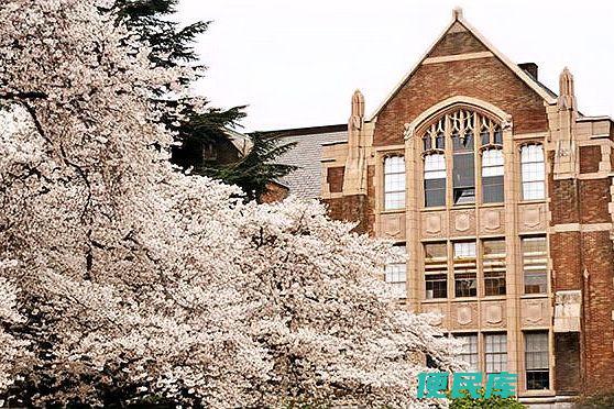 常青藤名校有哪些（常青藤名校的概念、历史沿革及教育特色）