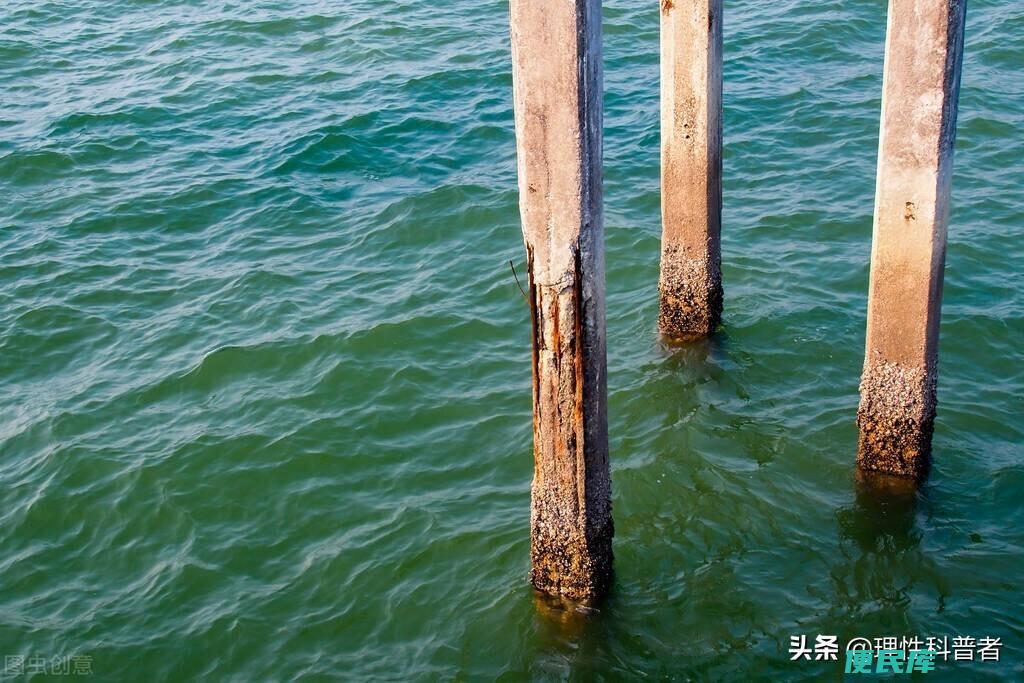 为什么不能喝海水（口渴的时候喝海水的危害有哪些）
