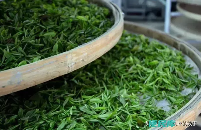 大红袍是不是红茶（简述大红袍为什么不是红茶的原因）