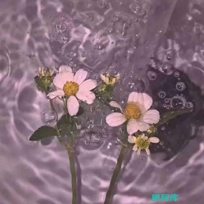 为什么要删掉喜欢的人(删除自己喜欢的人是彻底失望了吗)