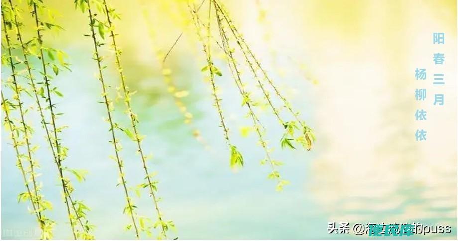 植树节是什么时候（你知道植树节的由来和谁有关吗）