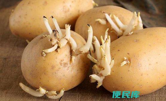 发芽土豆怎样解决（应对发芽的土豆的方法）