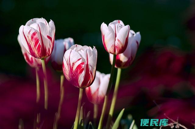 女人不爱你的表现有哪些（当女人不再爱你的四种征兆）