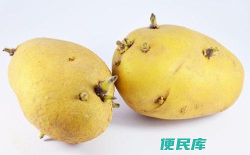 发芽土豆怎么处理（处理发芽的土豆方法）