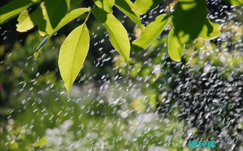 什么人喜欢天天下雨（哪些人群喜欢每天都下雨的原因）