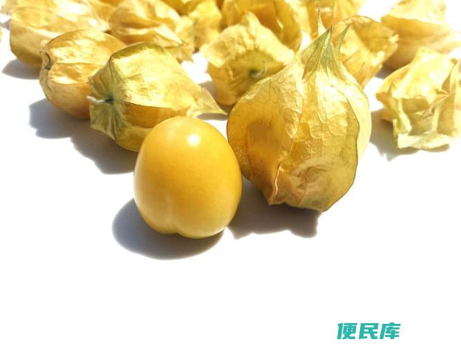 黄姑娘种植方法和时间（黄姑娘的种植技巧和时期）