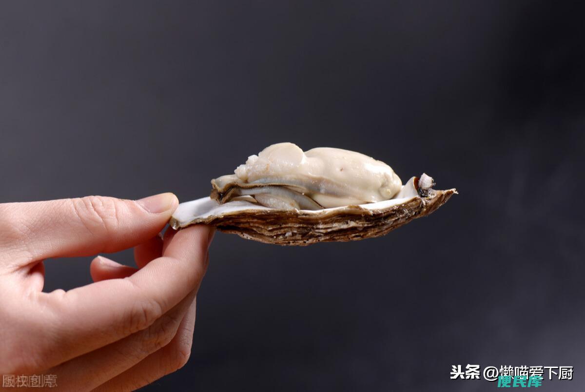 海蛎和生蚝一样吗（生蚝和海蛎子到底有没有区别呢）