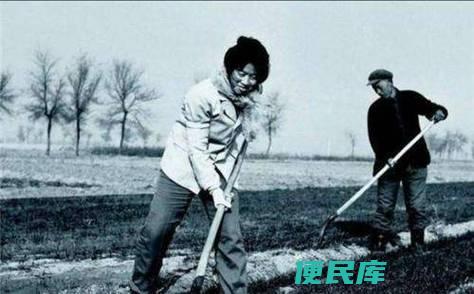 大包干的定义是什么（探讨大包干一词的具体意义）