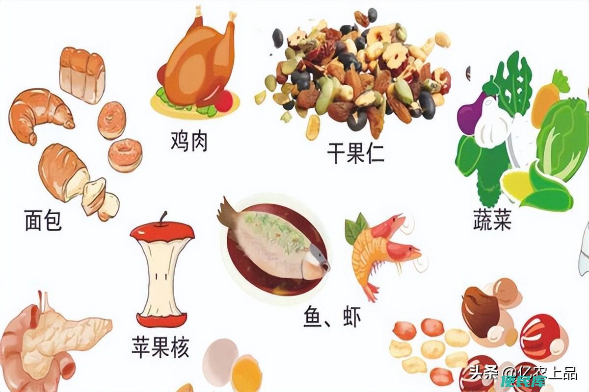 什么是厨余废品有何用处（厨余废品怎么处理变成肥料）
