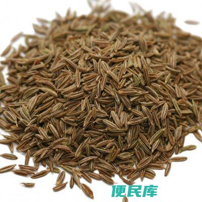 孜然粉是什么做的（孜然在生活中的主要作用都有哪些）