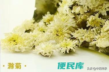 胎菊和杭白菊的区别（不同种类菊花药用功效的区别）