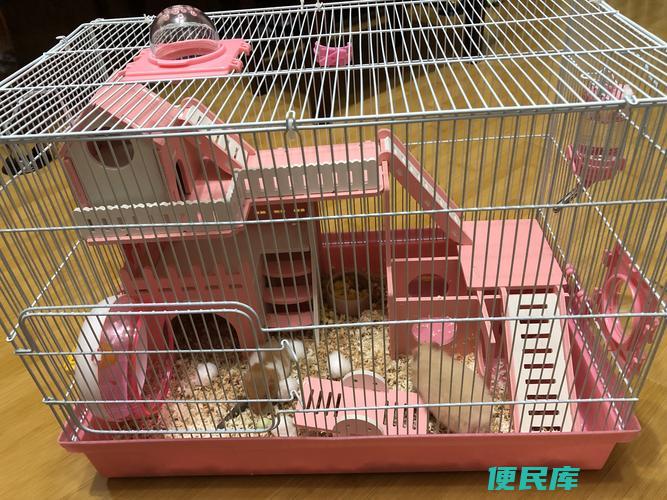 仓鼠笼子的正确安装（指导仓鼠笼子的正确安装方法）
