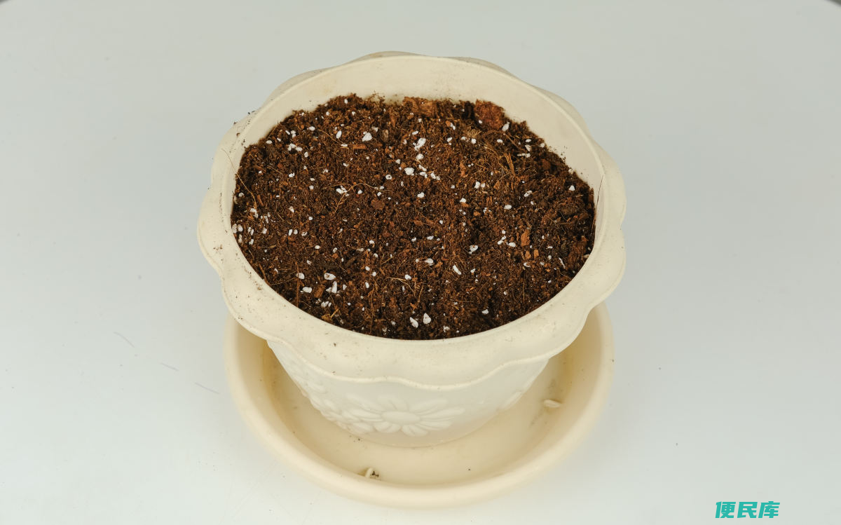 土壤消毒的最好方法（如何给要种花的土壤进行消毒）