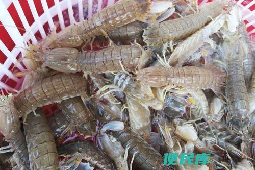 皮皮虾价格一斤多少（介绍皮皮虾的市场价格）