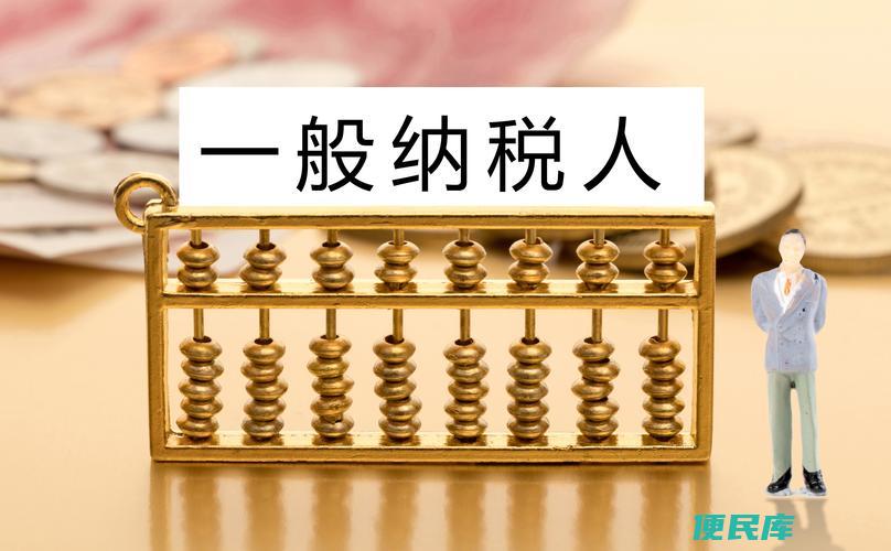 一般纳税人定义（详解一般纳税人的含义和条件）