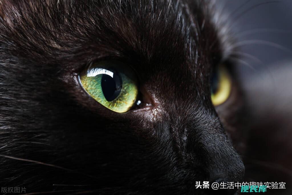 断联后男人试探的手段（断联后他的反应就明白在不在乎你）