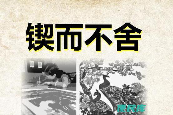锲而不舍的意义（深入探讨锲而不舍在人生中的价值）