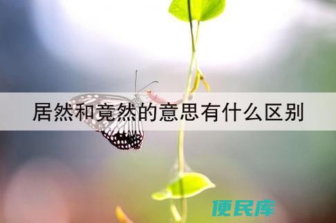 居然与竟然的区别（居然与竟然的异异）