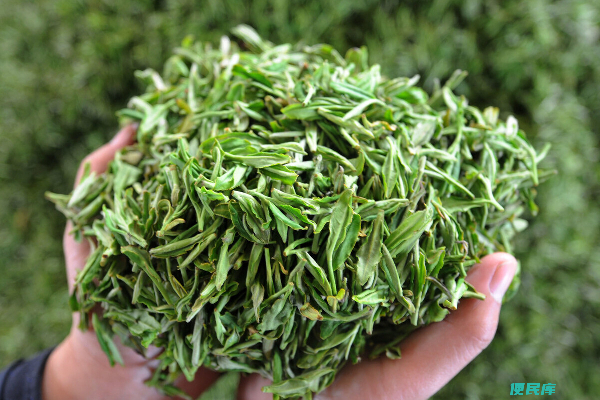 茶叶种类及十大名茶（中国的十大名茶都是哪十种茶）
