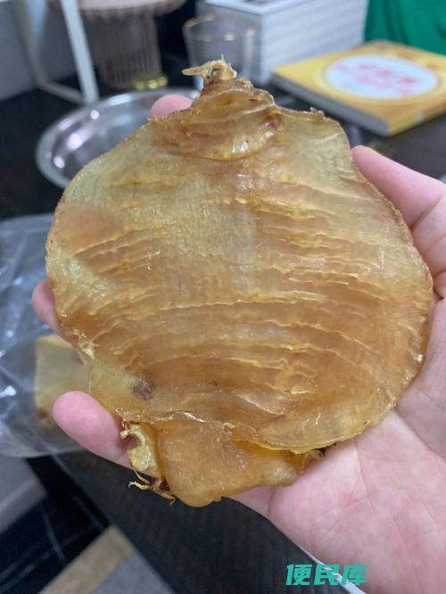 赤嘴鱼胶的功效与作用（介绍赤嘴鱼胶的保健功效和医疗作用）