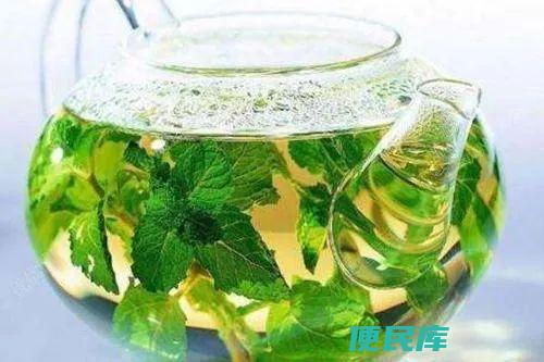 桑叶泡水的功效与益处（阐述桑叶泡水喝的健康功效和好处）