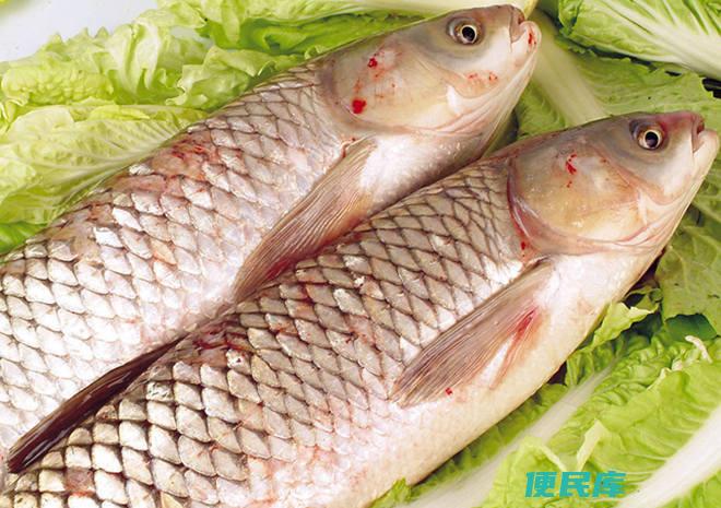 清江鱼和鲶鱼的区别是什么（介绍清江鱼和鲶鱼的特点和口感）