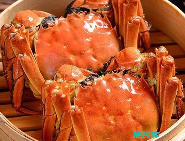 公蟹母蟹的区别图片（公蟹母蟹的不同点及如何挑选）