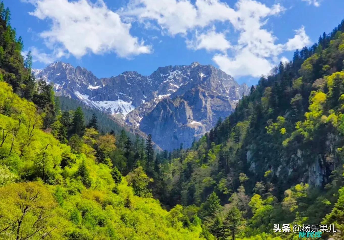 陇南市旅游景点有哪些（推荐甘肃省陇南市的旅游目的地）
