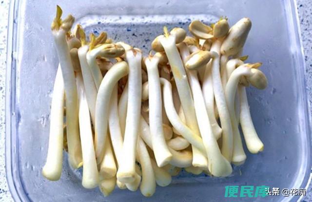 家庭水发花生芽的方法（怎么生花生芽才能又粗又白呢）