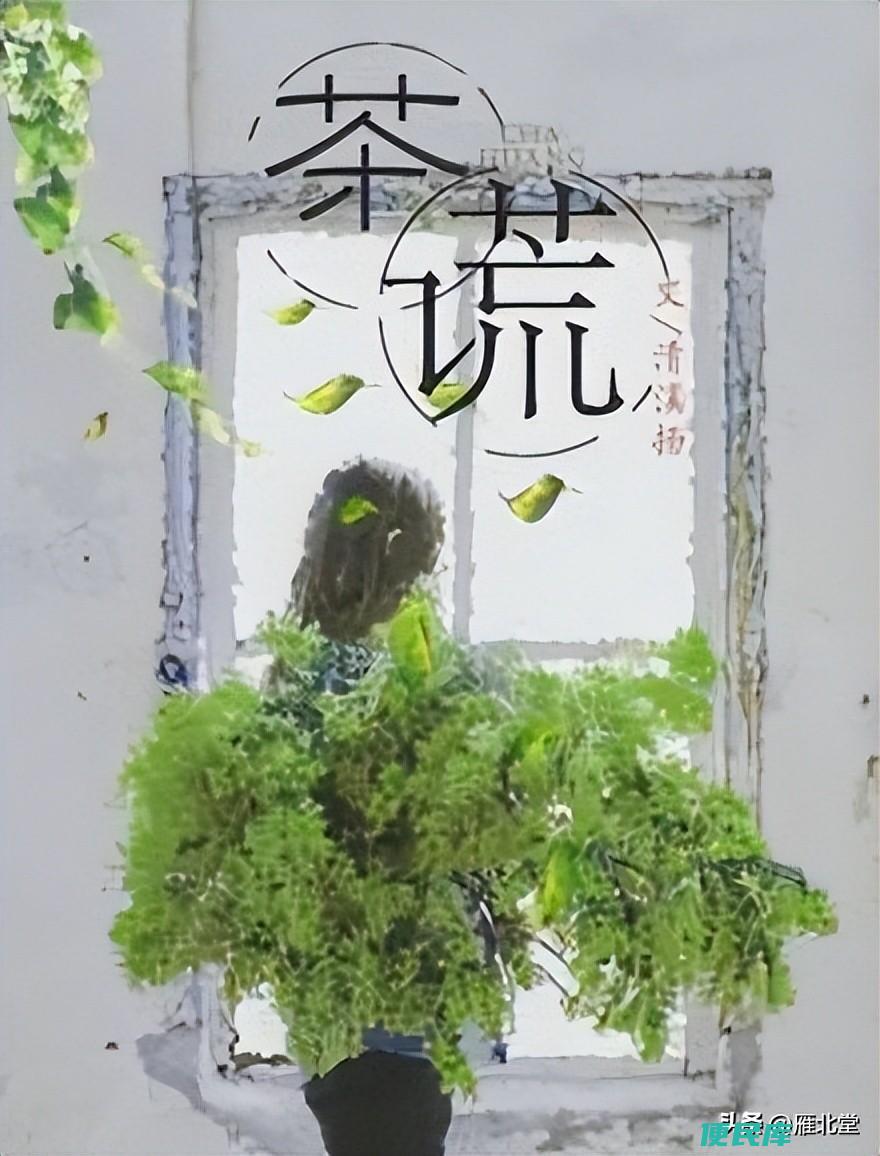 悬疑推理言情<font color='#ff7200'>小说</font>有哪些（推荐5本高质量悬疑推理现言）