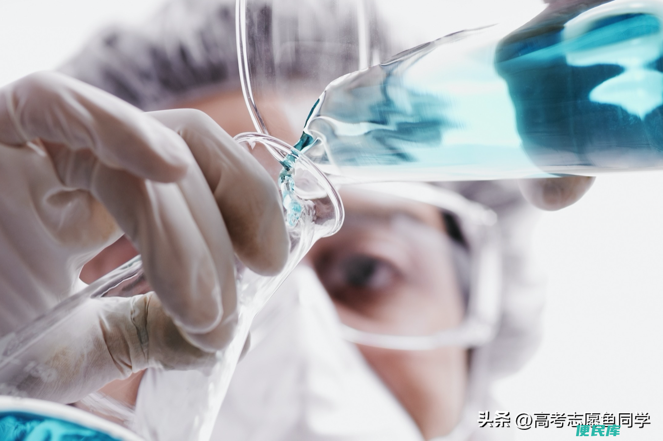女生大学学什么专业好就业前景（女生未来最有前景的八大行业）