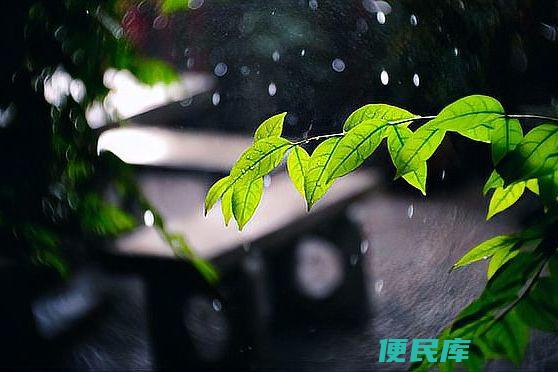 梅雨季节时间详解（解释梅雨季节的具体时间段）