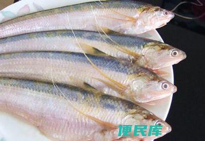 刀鱼为什么那么贵（刀鱼之所以这么贵的原因有哪些）