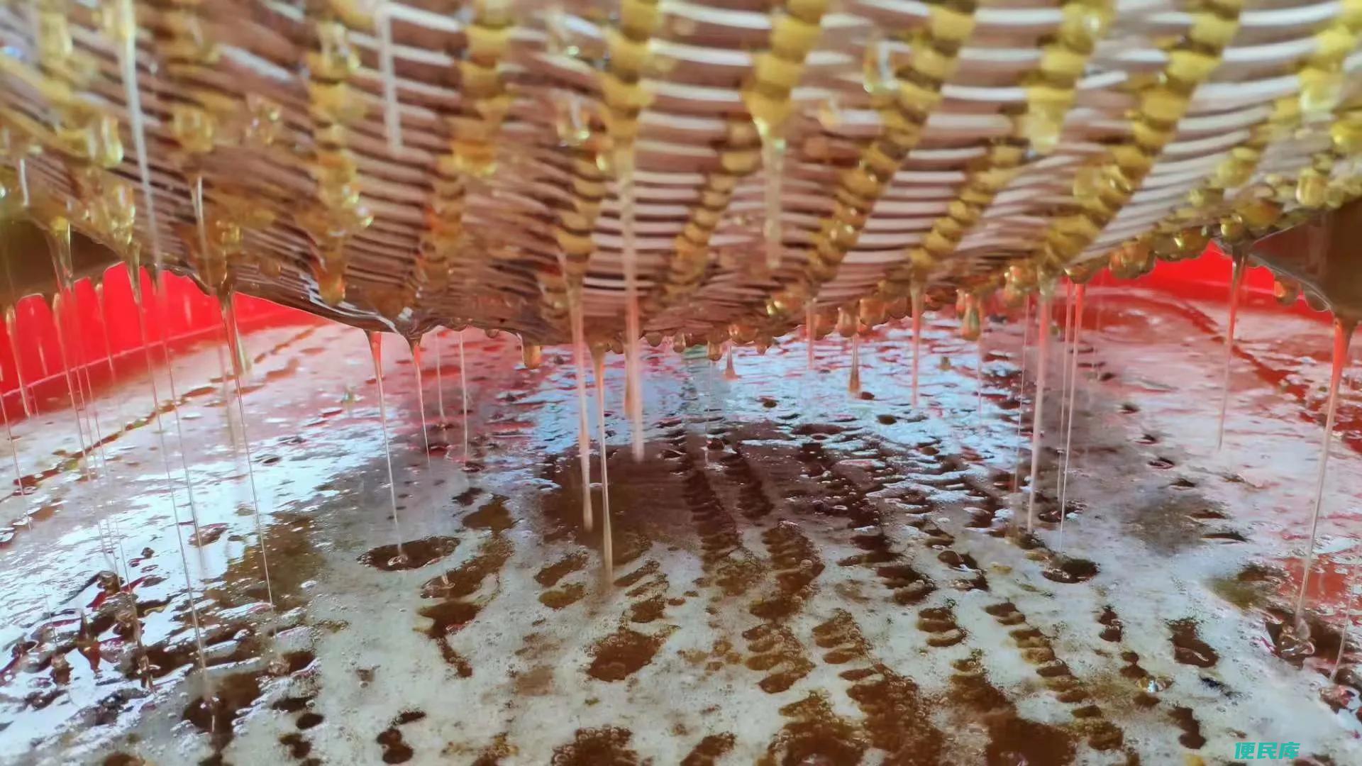蜂蜜可以用开水冲吗（蜂蜜冲水的正确方法是什么呢）