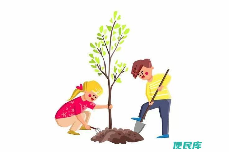 植树节是什么季节（种树成活率最高的季节是什么时候）